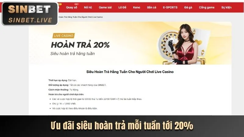 Cập nhật tính năng và ưu đãi Vabetblog